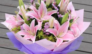 香水百合简谱 香水百合简谱