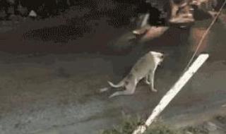 叔叔我明天还要上学呢 叔叔我明天还要上学呢