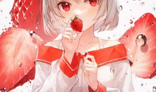 5个动漫女孩小游戏 5个动漫女孩小游戏